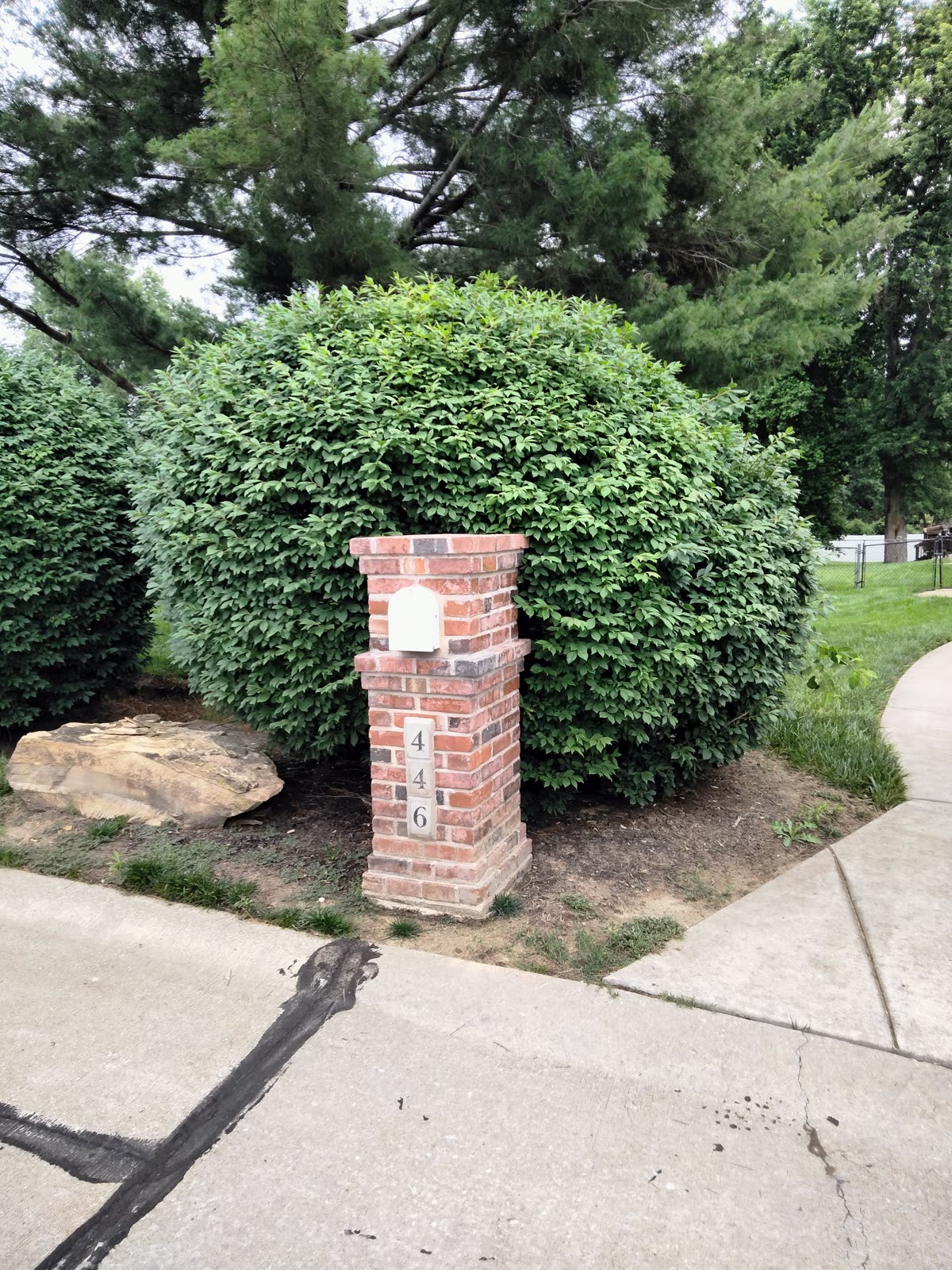 House photo 6