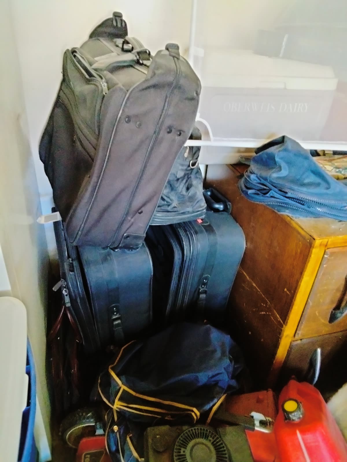 MS-025 Assorted Luggage image 1